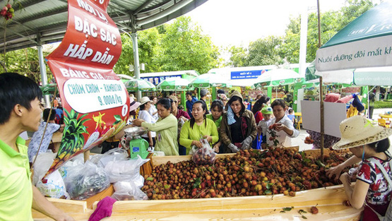 Papyrus bags and environmentally friendly utensils will appear at the Southern Fruit Festival 2019